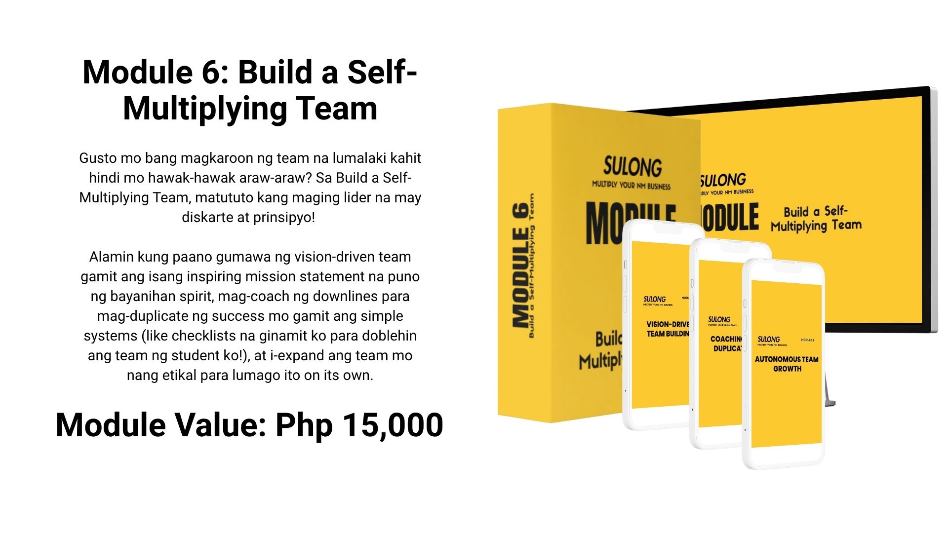 Module 6 Sulong